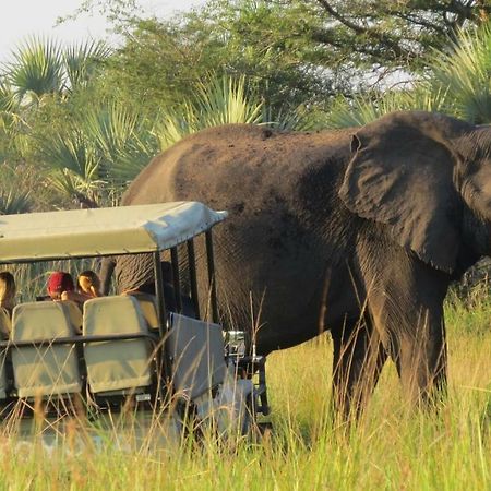 Tembe Elephant Park Lodge Sihangwane Eksteriør bilde