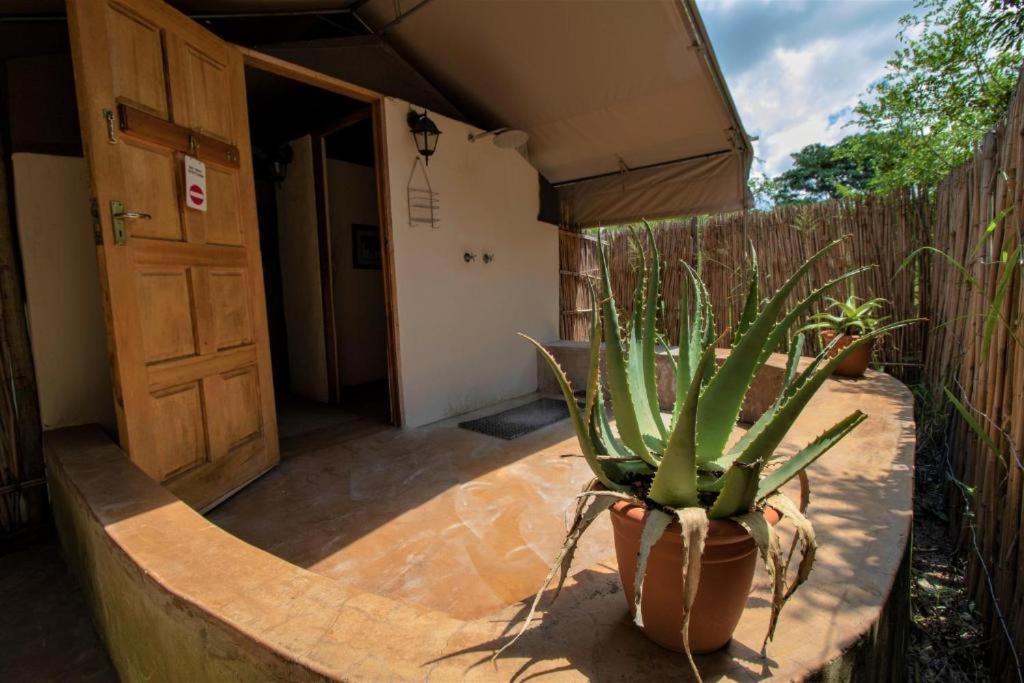 Tembe Elephant Park Lodge Sihangwane Eksteriør bilde