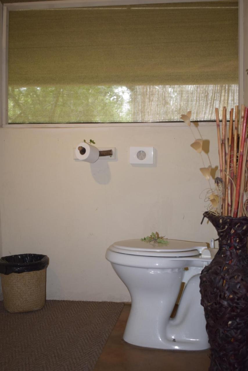 Tembe Elephant Park Lodge Sihangwane Eksteriør bilde