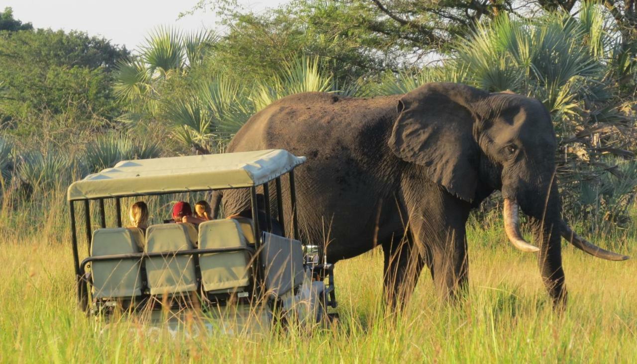 Tembe Elephant Park Lodge Sihangwane Eksteriør bilde