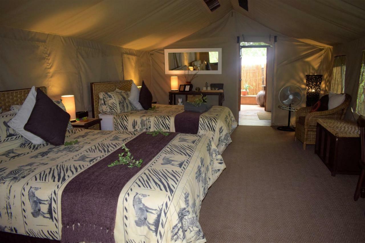 Tembe Elephant Park Lodge Sihangwane Eksteriør bilde