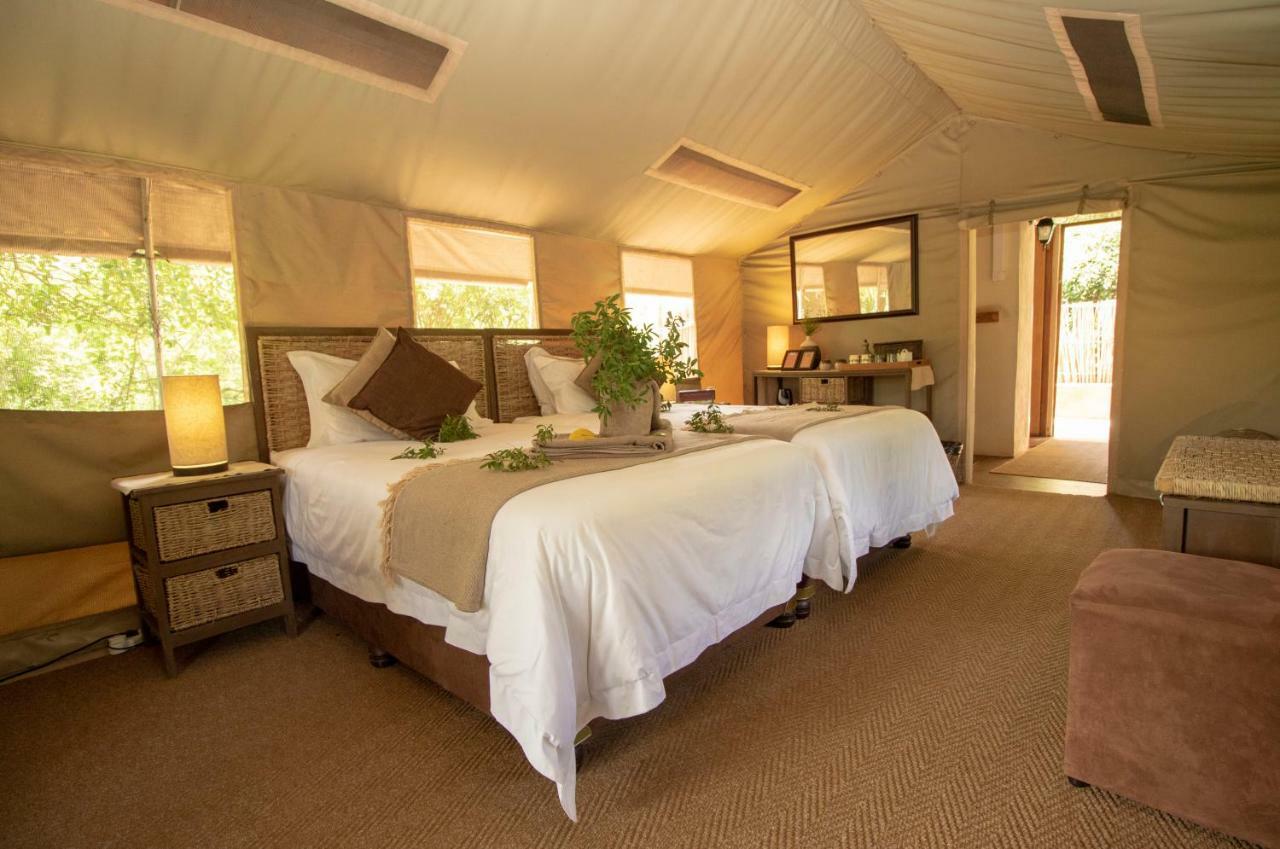 Tembe Elephant Park Lodge Sihangwane Eksteriør bilde