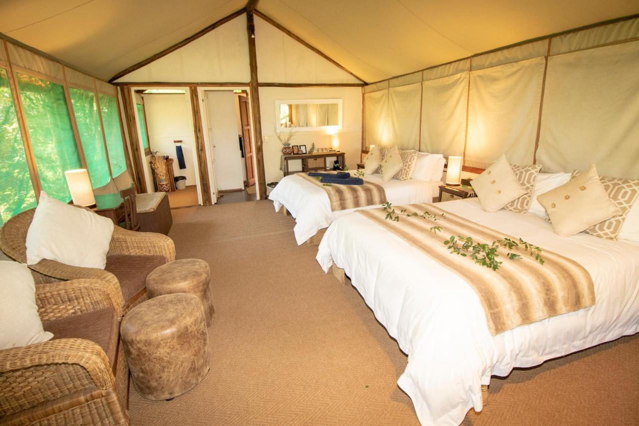 Tembe Elephant Park Lodge Sihangwane Eksteriør bilde