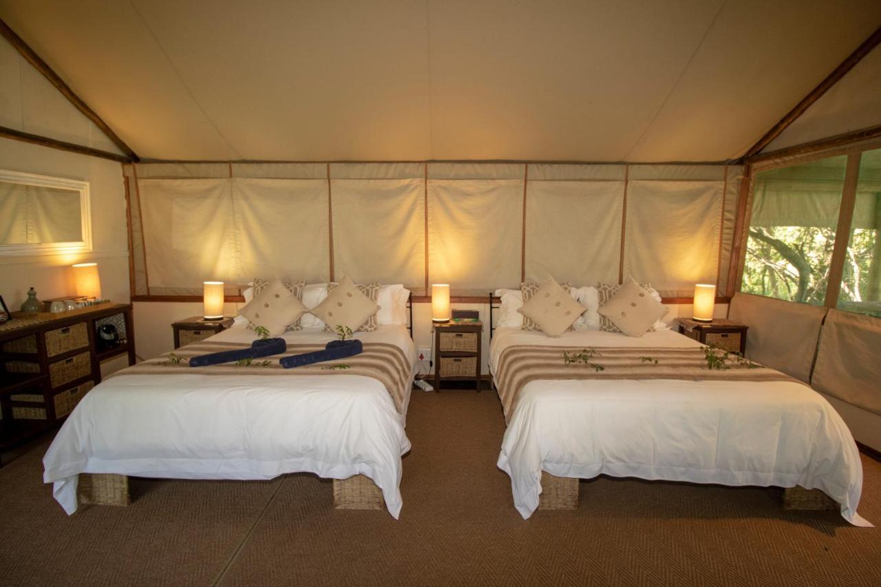 Tembe Elephant Park Lodge Sihangwane Eksteriør bilde