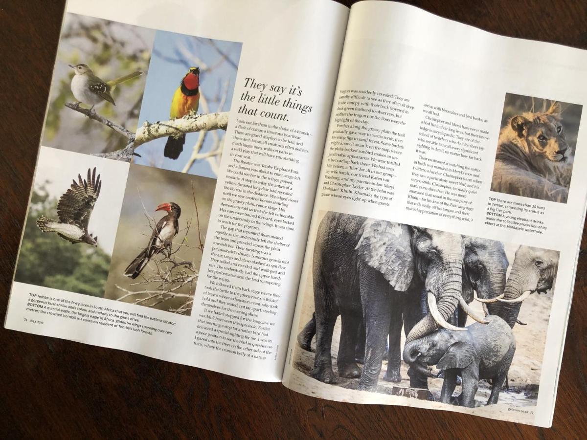 Tembe Elephant Park Lodge Sihangwane Eksteriør bilde