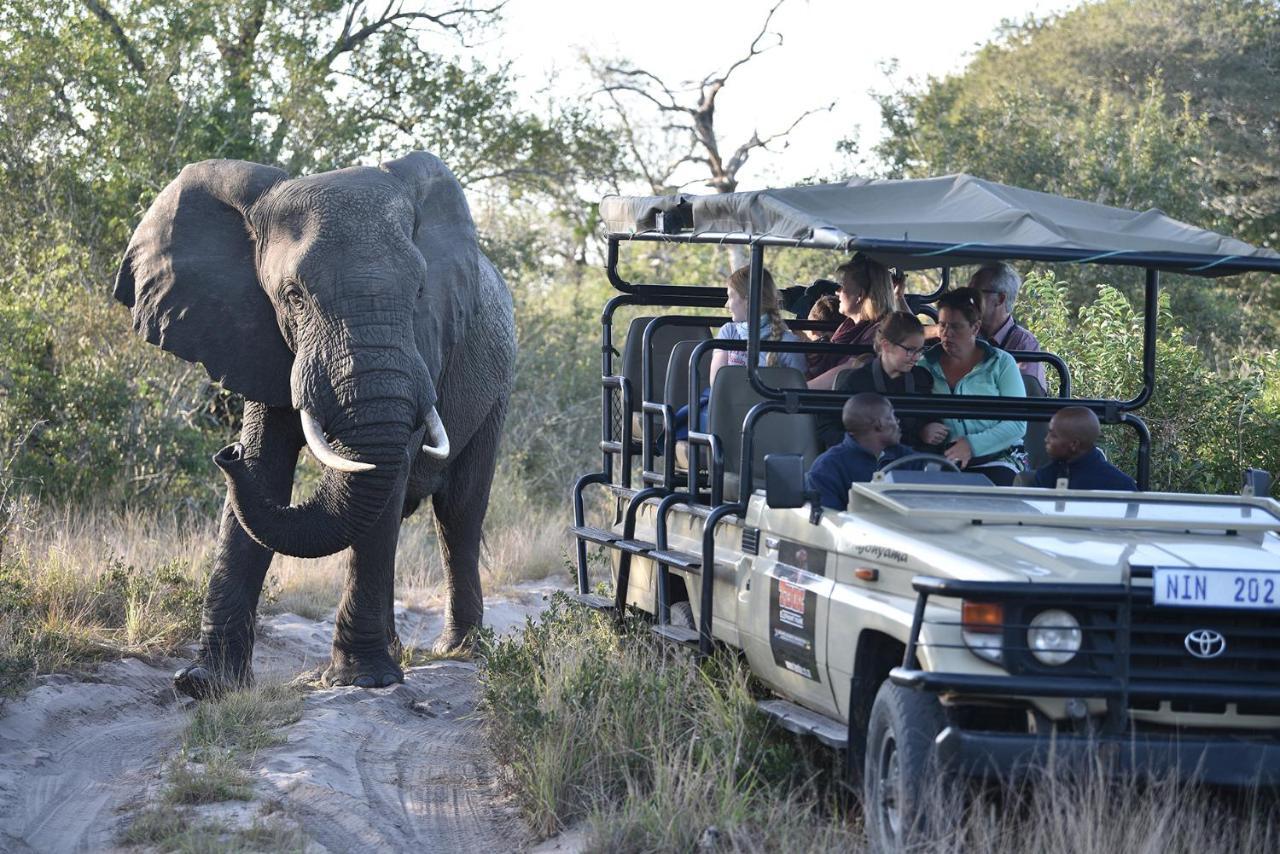 Tembe Elephant Park Lodge Sihangwane Eksteriør bilde